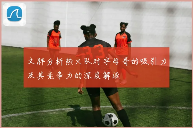 文胖分析热火队对字母哥的吸引力及其竞争力的深度解读