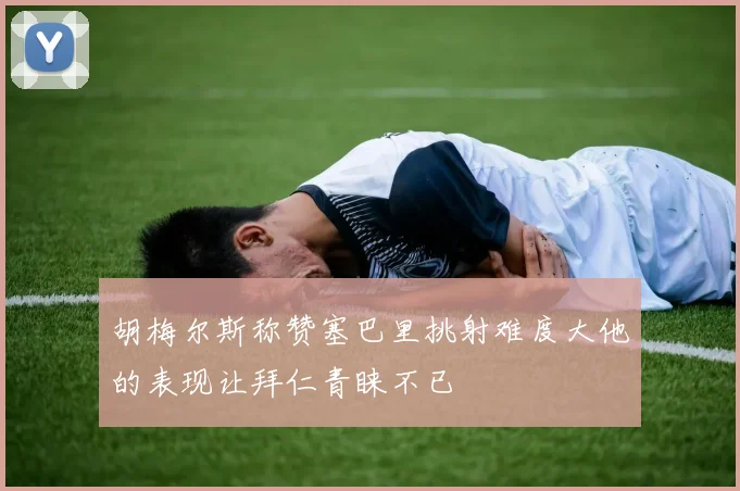 胡梅尔斯称赞塞巴里挑射难度大他的表现让拜仁青睐不已