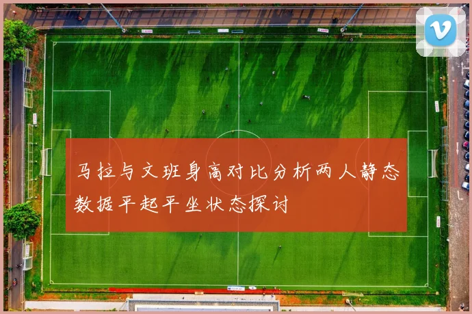 马拉与文班身高对比分析两人静态数据平起平坐状态探讨