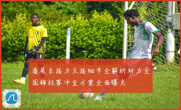 潘展乐接力交接细节全解析助力全国锦标赛冲金方案全面曝光